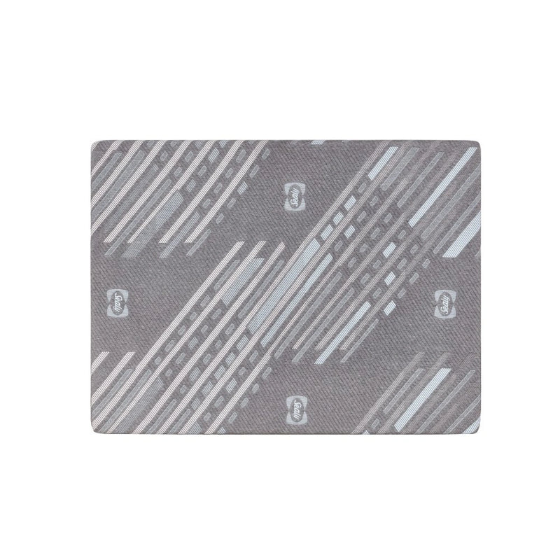 Sealy Bridgerton Foam Mattress