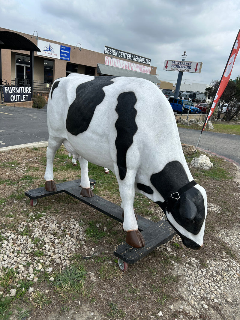 Life Size Grazing Holstein Cow Statue with Bell – Black & White
