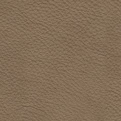 Veronella Double Chaise Sectional