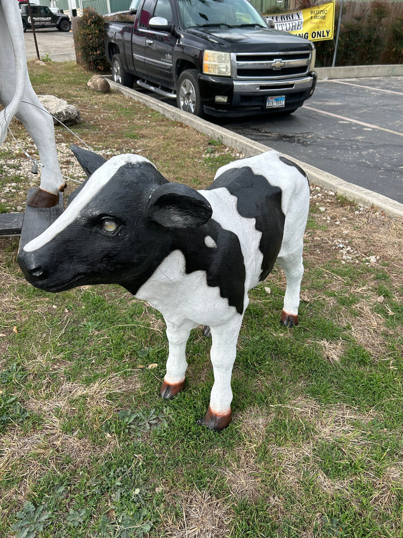 Calf Statue Life Size Holstein Black and White 4FT