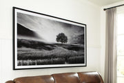 Ashley Furniture Deborland Wall Art featuring modern abstract design in neutral tones, ideal for contemporary home decor.