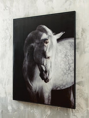 Ashley Furniture Archerwick wall art featuring a modern abstract design in neutral tones, ideal for contemporary home decor.