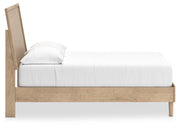 Ashley Furniture Cielden Bedroom Set featuring a bed, nightstands, and dresser in a modern, stylish bedroom layout.