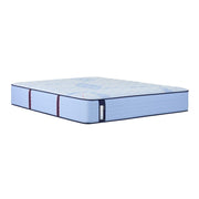 Sealy Newland Spring Mattress with plush fabric cover and supportive spring system, shown in a bedroom setting.