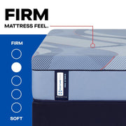 Sealy Indianapolis Hybrid Mattress with plush fabric cover and supportive memory foam and innerspring layers.