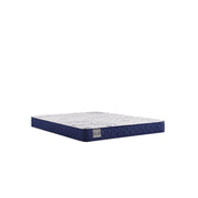 Sealy Oconee foam mattress with plush top surface and supportive foam layers, shown on a bed in a modern bedroom setting.