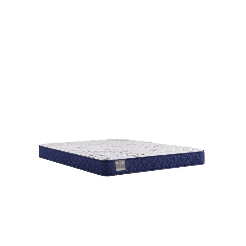 Sealy Oconee foam mattress with plush top surface and supportive foam layers, shown on a bed in a modern bedroom setting.