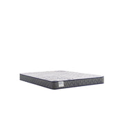 Sealy paisley foam mattress showing detailed fabric pattern and plush surface for comfortable sleep.