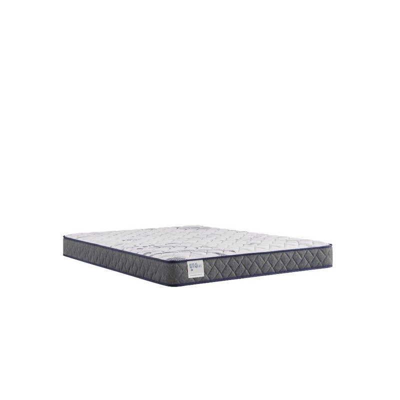 Sealy paisley foam mattress showing detailed fabric pattern and plush surface for comfortable sleep.