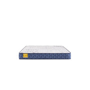 Sealy Glacier Park foam mattress with plush surface and supportive design, ideal for comfortable sleeping.