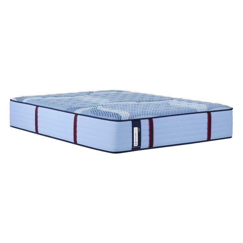 Sealy Sonterra Spring Mattress with plush quilted top and supportive springs, designed for comfort and durability.