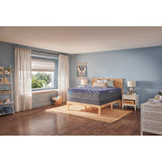 Sealy Royal Oaks Hybrid Mattress with quilted top and supportive layers, showcasing a plush, comfortable sleep surface.
