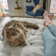 Sealy Lavina II innerspring mattress with plush surface, supportive coils, and soft fabric cover, ideal for comfortable sleep.