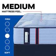 Sealy Sonterra Spring Mattress with plush fabric cover and supportive coil system, designed for comfort and durability.