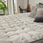 Sealy Red Maple innerspring mattress with a plush top and supportive coils, shown with a modern bedroom setting.