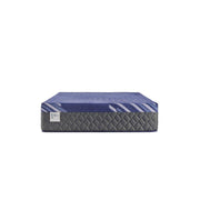 Sealy Westerfield Hybrid Mattress with plush top and supportive layers, shown in a bedroom setting.
