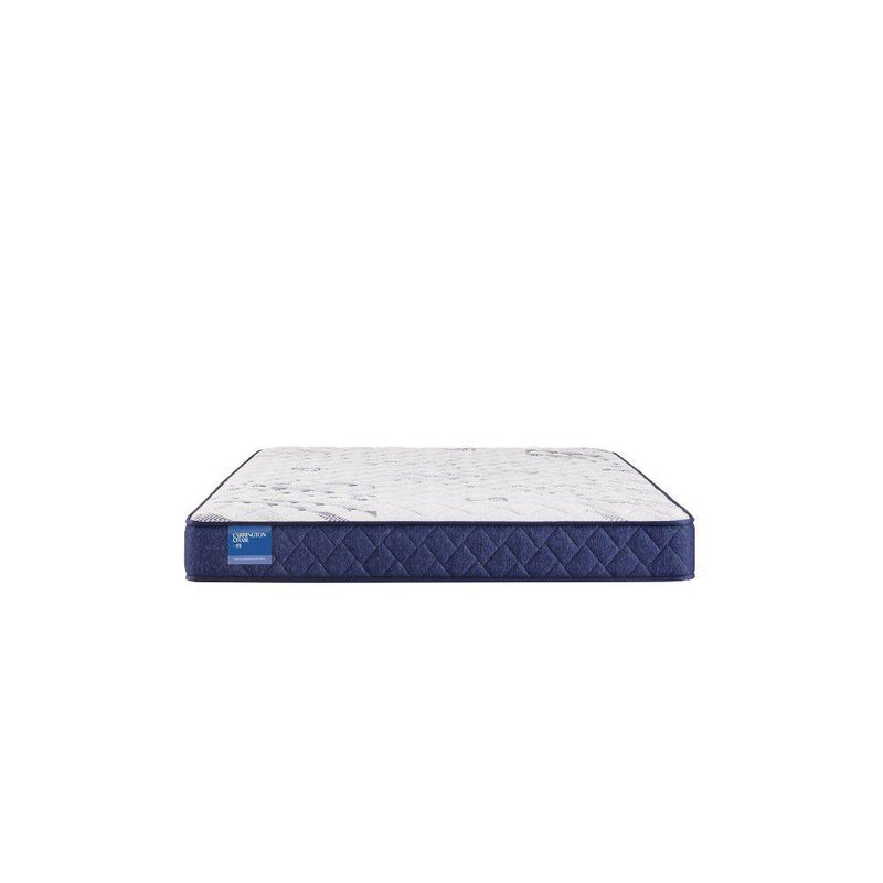 Resting Manor Foam Mattress