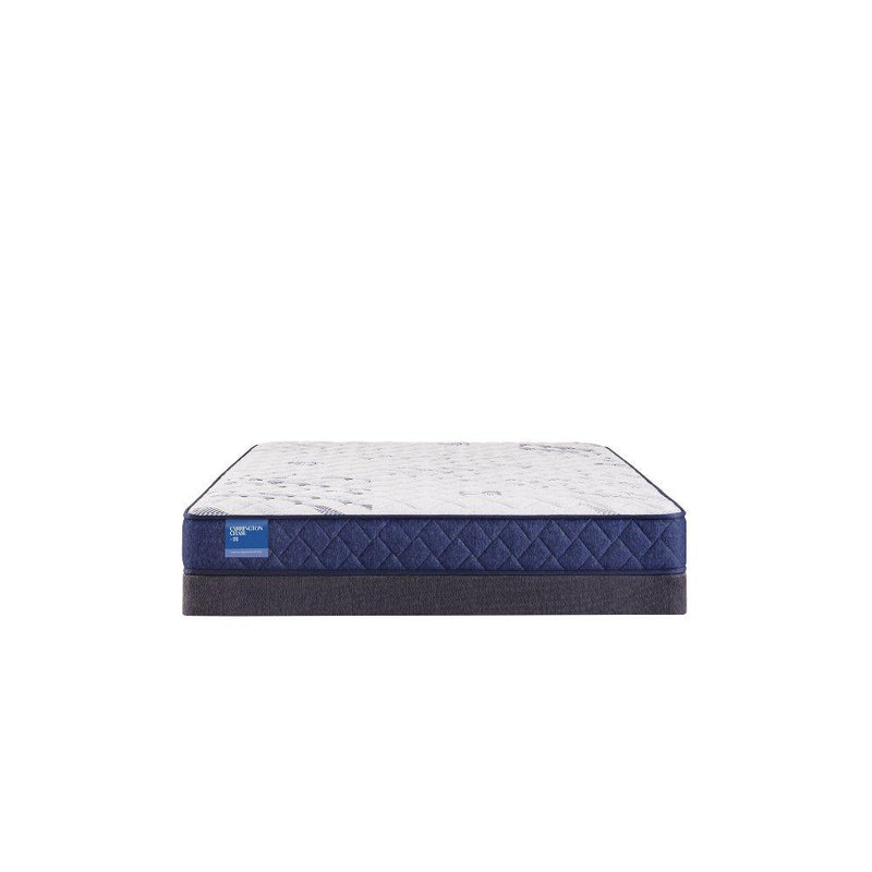 Resting Manor Foam Mattress
