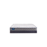 Sealy Moon Cove Foam Mattress with plush surface and supportive construction, ideal for comfortable sleep.