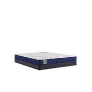 Sealy Oconee foam mattress with plush white fabric cover and subtle quilting, shown on a bed frame.