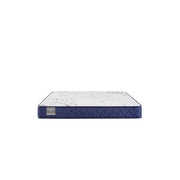Sealy Oconee foam mattress with plush surface and supportive layers, shown in a bedroom setting with neutral bedding.