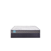 Sealy Nori Foam Mattress displaying a plush, layered foam surface in a modern bedroom setting