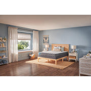 Sealy Nori Foam Mattress showing plush surface and supportive design, ideal for restful sleep and comfort.