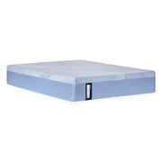 Sealy Goddard Hybrid Mattress with memory foam and innerspring layers, shown with a plush, supportive surface in a modern bedroom setting.