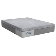 Sealy Lacey Hybrid Mattress with plush fabric cover, showcasing its layered design and supportive structure for comfort and durability.