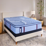 Sealy Sonterra Spring Mattress with plush fabric cover, showcasing its supportive design and plush surface for comfortable sleep.