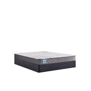 Sealy Nori Foam Mattress with plush fabric cover, showcasing its supportive foam layers and sleek design for restful sleep.