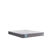 Sealy Nori Foam Mattress showing a plush, supportive mattress with a textured fabric cover in a bedroom setting.