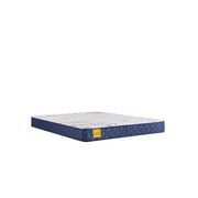 Sealy Glacier Park foam mattress with plush surface and supportive design, ideal for comfortable sleep.