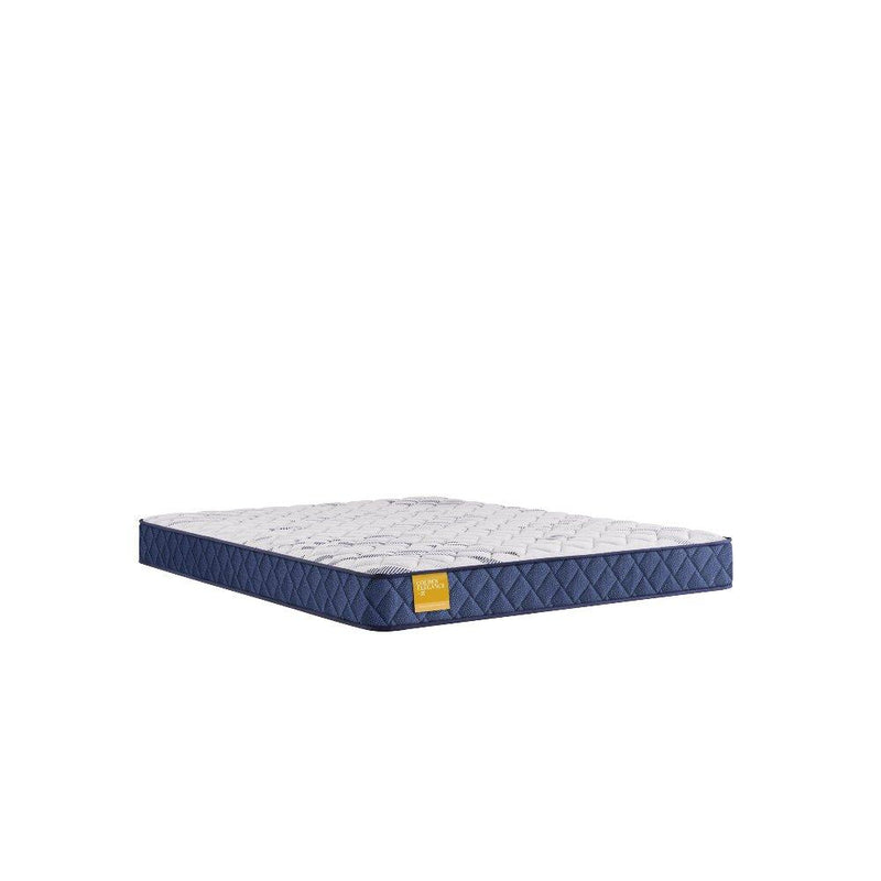 Sealy Glacier Park foam mattress with plush surface and supportive design, ideal for comfortable sleep.
