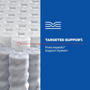 Sealy Fayette Spring Mattress showing its plush, quilted top and supportive mattress construction in a well-lit room.
