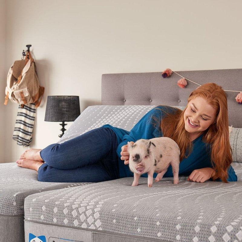 Sealy Salinger Hybrid Mattress with plush top layer and supportive base, showcasing its fabric cover and construction.