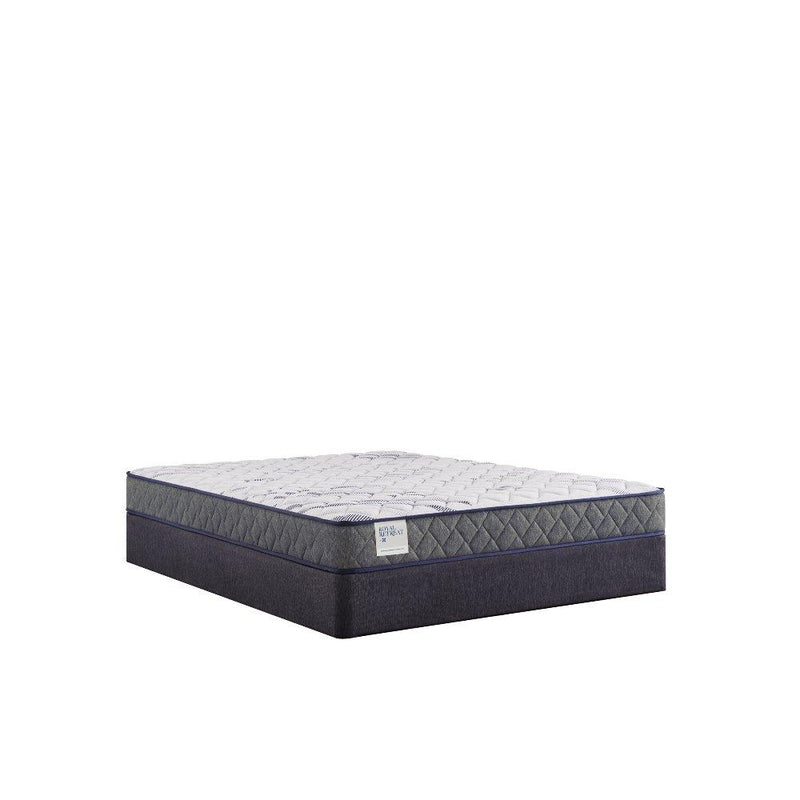 Sealy Paisley Foam Mattress showing a plush, patterned fabric cover with a focus on the textured surface and branding details.