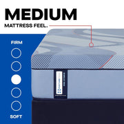 Sealy Haverford Hybrid Mattress with plush top and supportive coils, showcasing a neatly made bed in a modern bedroom setting.