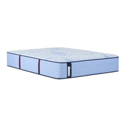 Sealy Newland Spring Mattress with plush fabric cover, showcasing its comfortable, supportive design for restful sleep.