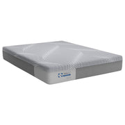 Sealy Medina Hybrid Mattress with plush top layer and supportive coils, designed for comfort and durability.