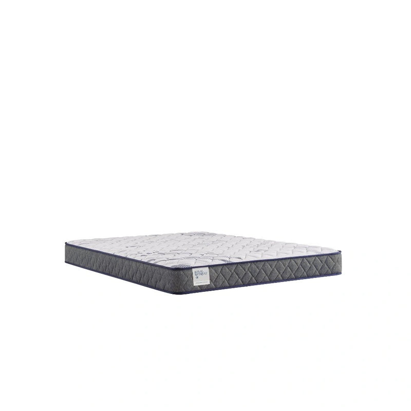 Sealy Paisley Foam Mattress